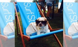 ExpandaBrand-Custom-Printed-Deck-Chairs-SurfStitch2