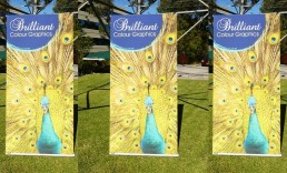 ExpandaBrand-Pull-Up-Banner-Stands_Digitally-Printed