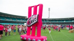 Inflatable Stumps